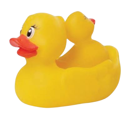 PATO FLOTADOR CON CRIA