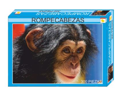 ROMPECABEZAS X 300 PZAS MONO