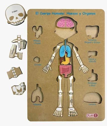 ENCASTRE 3 NIVELES CUERPO HUMANO MADERA