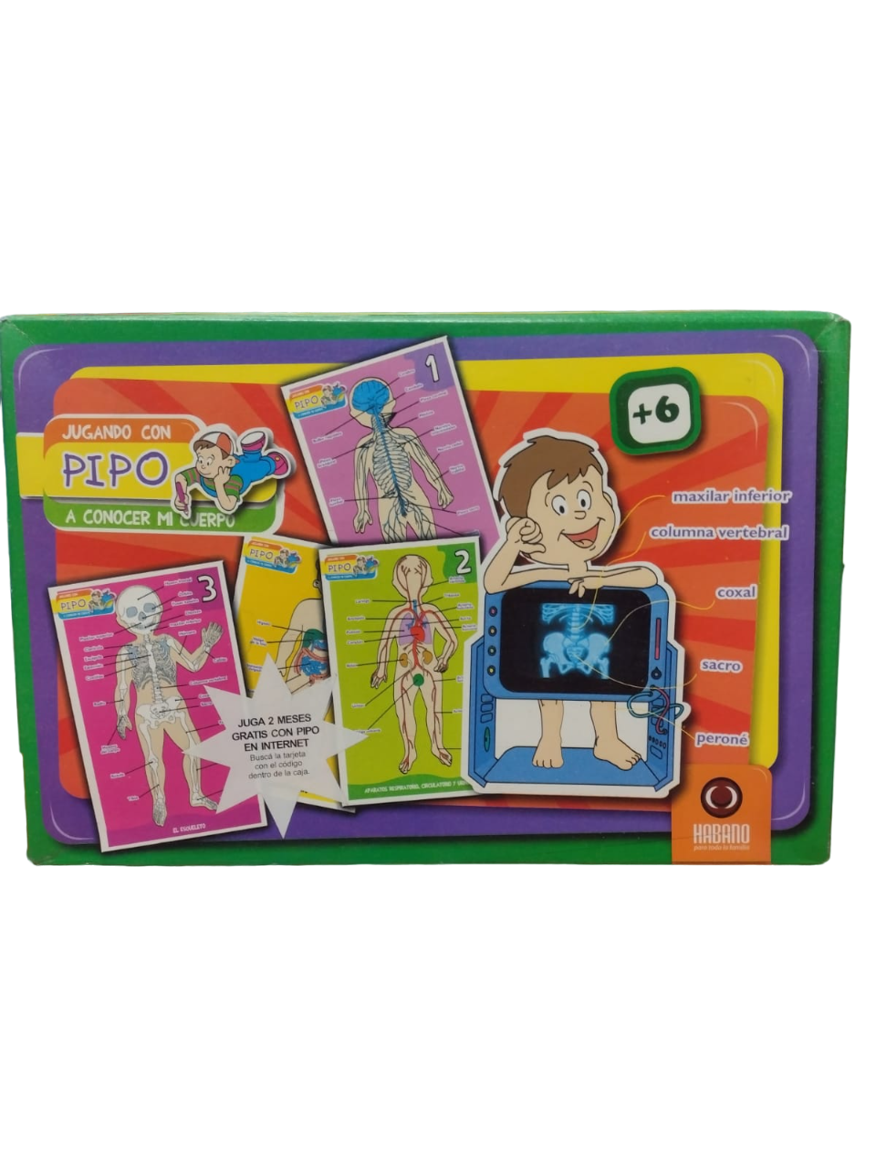 JUGANDO CON PIPO CONOCER MI CUERPO