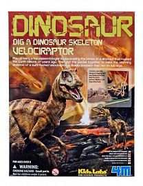 ESQUELETO DE VELOCIRAPTOR