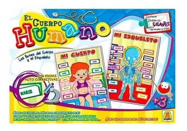EL CUERPO HUMANO