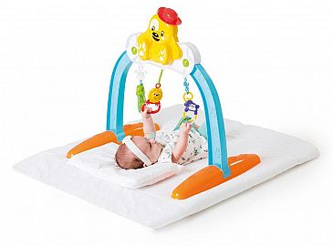 BABY GYM PET CALESITA