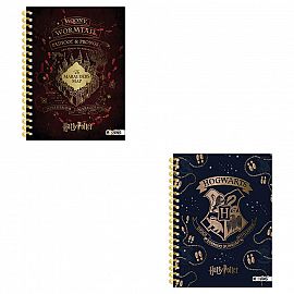 CUADERNO ESPIRAL T.DURA CHICO HARRY POTTER