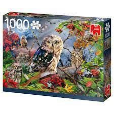 PUZZLE 1000 PIEZAS JUMBO - MODELO SURTIDOS