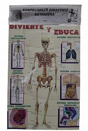 ROMPECABEZA BASE MADERA ESQUELETO