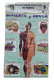 ROMPECABEZA BASE MADERA SISTEMA CUERPO HUMANO